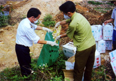 Lực lượng quản lý thị trường Yên Bái tiêu huỷ hàng lậu.