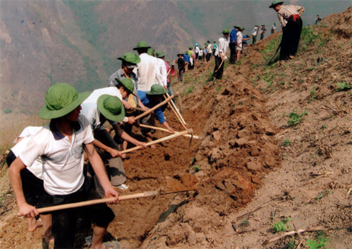 Thanh niên tình nguyện tham gia khai hoang ruộng cạn tại thôn Chống Tầu, xã Làng Nhì (Trạm Tấu).
