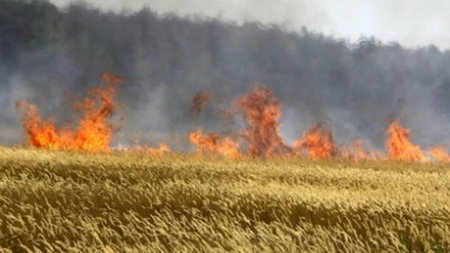 Cánh đồng lúa mì bị cháy ở Nga hồi tháng 8-2010. Giá lương thực trên thế giới đã lên đến mức “nguy hiểm”.