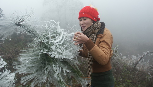 Băng giá ở Lào Cai tháng 1-2011