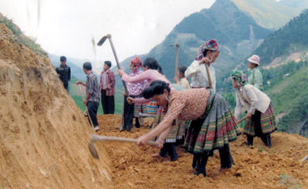 Đồng bào Mông huyện Trạm Tấu tích cực tham gia khai hoang ruộng cạn.
