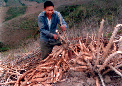 Có đất sản xuất giúp người dân có điều kiện phát triển kinh tế, tăng thu nhập cho gia đình.
