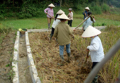 Nhân dân xã Đại Minh, huyện Yên Bình tham gia làm kênh mương nội đồng theo phương châm 