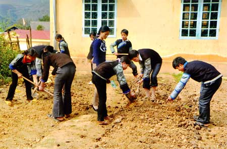 Các em học sinh bán trú xã Khao Mang tích cực trồng rau xanh cải thiện bữa ăn hàng ngày.
