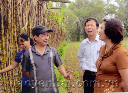 Đồng chí Phạm Thị Tuyết Nga - Chủ tịch Hội Nông dân tỉnh thăm mô hình trồng mía cho thu nhập cao ở xã Phúc Lộc (thành phố Yên Bái).
