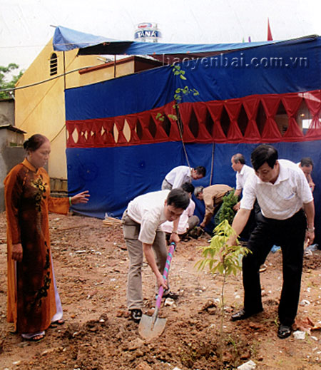 Hầu hết các nhà văn hóa trên địa bàn phường Yên Thịnh đều trồng cây bóng mát sau khi khánh thành.