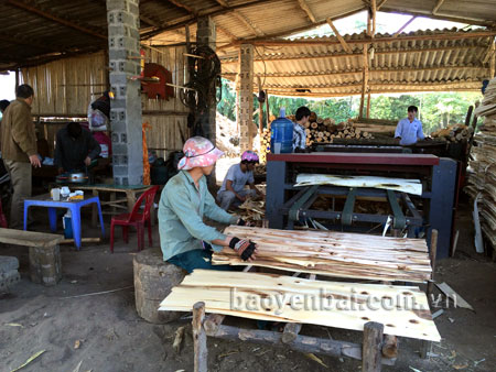 Sản xuất ván ép ở cơ sở sản xuất của gia đình ông Lưu.