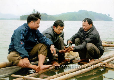 Nuôi trồng thủy sản là hướng phát triển kinh tế của người dân Phan Thanh.