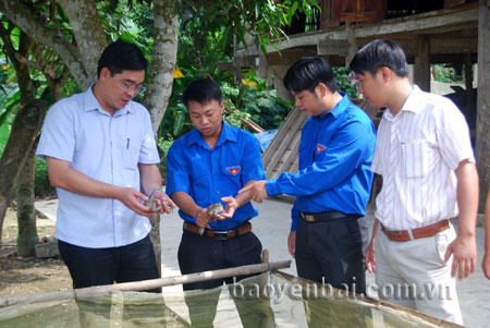 Đồng chí Nông Việt Yên (ngoài cùng bên trái) - Bí thư Tỉnh đoàn thăm mô hình nuôi ếch, cá của Bí thư Đoàn xã Yên Thắng Nguyễn Quang Thuần.
