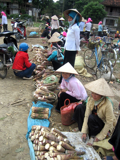 Nhiều loại măng trở thành hàng hóa ở chợ Mường Lò (Nghĩa Lộ) đáp ứng nhu cầu của thực khách.