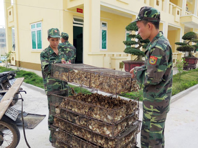 Cán bộ, chiến sĩ đồn biên phòng cửa khẩu Chi Ma (Lộc Bình, Lạng Sơn) bắt giữ gia cầm nhập lậu qua biên giới.