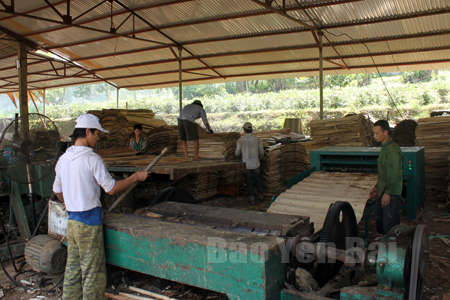 Sâu cây sắn việc trồng và chế biến gỗ là ngành nghề phát triển bền vững ở Vũ Linh.