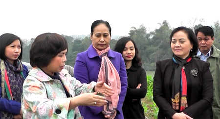 Đồng chí Bí thư Tỉnh ủy Phạm Thị Thanh Trà và bà Thái Huơng- Chủ tịch HĐQT Tập đoàn TH True Milk trao đổi về phương hướng hợp tác của Tập đoàn với tỉnh trong phát triển nông nghiệp công nghệ cao tại xã Nà Hẩu (Văn Yên).
