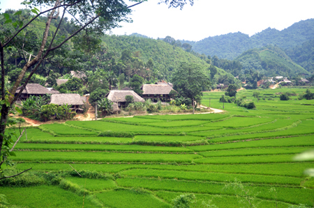 Xã Yên Thành, huyện Yên Bình đã khôi phục được các làng bản nhà sàn truyền thống.