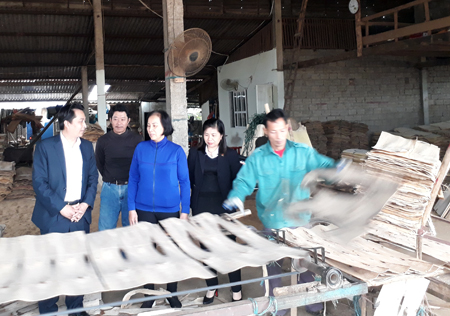 Lãnh đạo Agribank Chi nhánh huyện Văn Yên tới thăm khách hàng sử dụng đồng vốn hiệu quả.