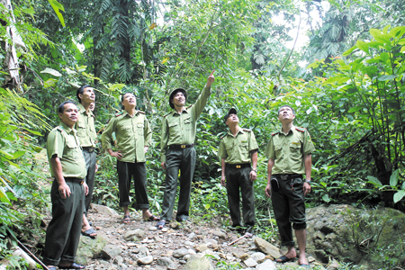 Lực lượng kiểm lâm Văn Yên triển khai phương án bảo vệ rừng. (Ảnh: Hồng Vân)