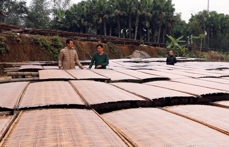 Làng nghề sản xuất miến đao giúp người dân Giới Phiên có thu nhập ổn định, góp phần quan trọng vào XDNTM.