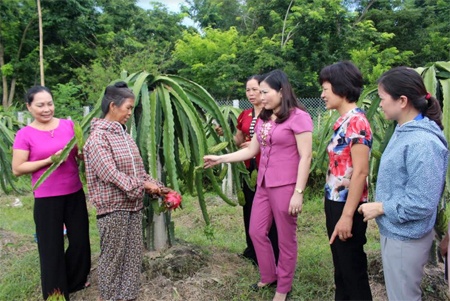 Lãnh đạo Hội Phụ nữ tỉnh thăm mô hình phát triển kinh tế của hội viên tại xã Nghĩa Lợi, thị xã Nghĩa Lộ.