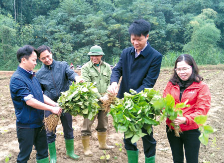 Các đồng chí lãnh đạo huyện Trấn Yên tham gia lễ ra quân trồng dâu tằm ở xã Hòa Cuông.