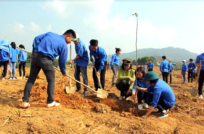 Phong trào trồng rừng được các bạn trẻ huyện Trấn Yên tích cực tham gia. (Ảnh: Thu Trang)