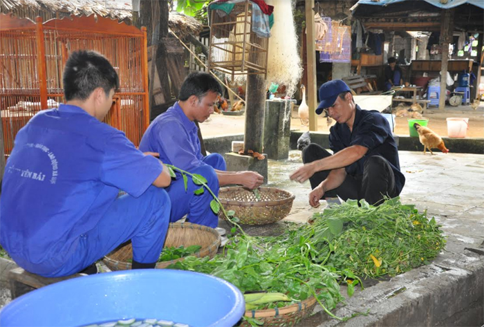 Các cơ sở cai nghiện là môi trường tốt nhất để người nghiện được quan tâm, chăm sóc, sớm tái hòa nhập cộng đồng.