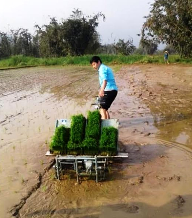 Người dân xã Thượng Bằng La thực hành cấy lúa bằng máy cho vụ xuân năm 2019.