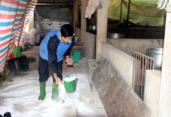 Các hộ chăn nuôi xã Minh Tiến, huyện Trấn Yên thực hiện tốt công tác tiêu độc, khử trùng khu vực chăn nuôi. (Ảnh: Minh Huyền)