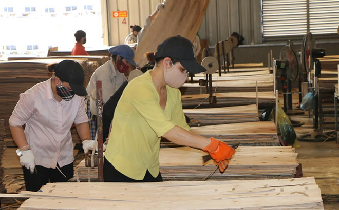 A production line of Thien An Vietnam Wood Co., Ltd.