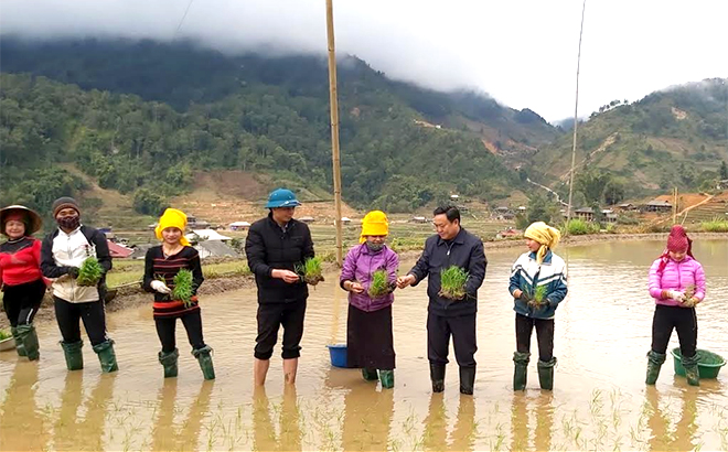 Lãnh đạo huyện Trạm Tấu xuống đồng kiểm tra sản xuất vụ xuân.