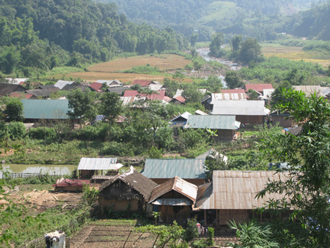 Ảnh minh họa