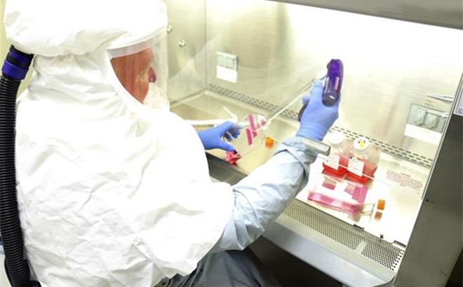 Thu thập mẫu bệnh phẩm chứa virus SARS-CoV-2 nhằm phát triển vắcxin phòng dịch COVID-19.