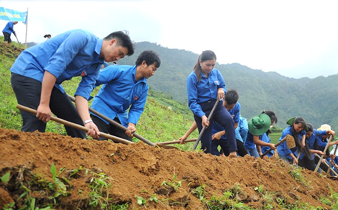 Đoàn viên thanh niên huyện Mù Cang Chải tham gia khai hoang ruộng bậc thang tại xã Cao Phạ. 
