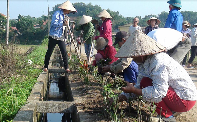 Các ban, ngành, đoàn thể xã Việt Thành tham gia dọn vệ sinh môi trường và trồng hoa hai bên đường vào các thôn của xã.