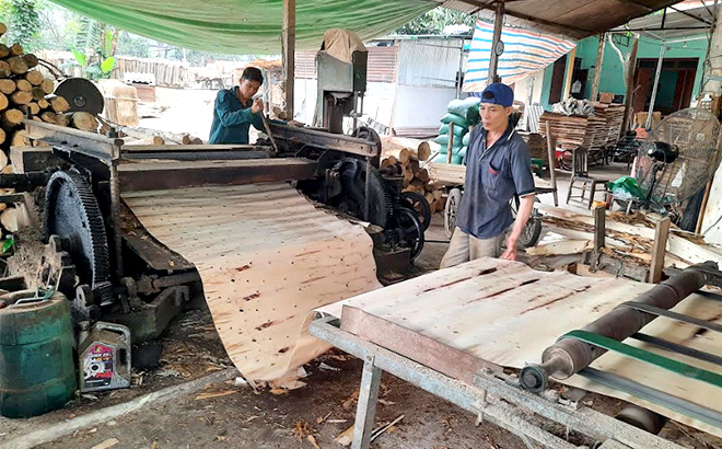 Nhiều xưởng sản xuất ván bóc đang hoạt động cầm chừng để giữ chân người lao động.
