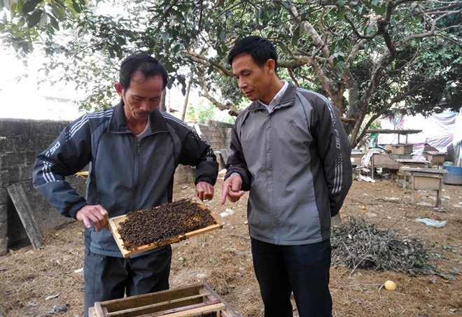 Ông Nguyễn Khánh Toàn (bên trái) chia sẻ kinh nghiệm nuôi ong với bà con trong tổ dân phố 3.