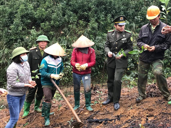 Cán bộ kiểm lâm huyện Trấn Yên hướng dẫn người dân kỹ thuật trồng rừng vụ xuân.
