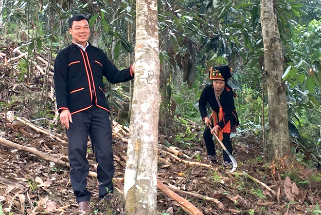 Anh Bàn Văn Minh, thôn làng Câu, xã Tân Hợp khẳng định, mỗi ha quế có giá trị 1 tỷ đồng.