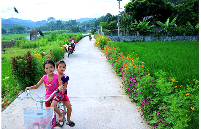 Những con đường trải bê tông liên thôn đều được trồng xen kẽ các loại hoa đủ sắc màu. (Ảnh minh họa)