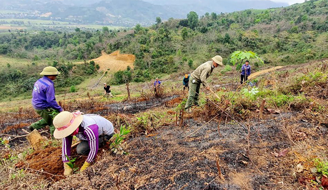 Nông dân huyện Văn Chấn tích cực trồng rừng vụ xuân 2021.