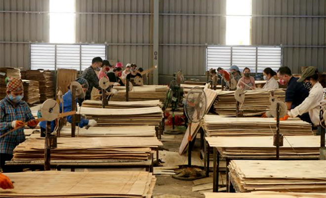 Công nhân Công ty TNHH Ngành gỗ Thiên An, Khu công nghiệp phía Nam thành phố Yên Bái sản xuất gỗ dán, ván ép, gỗ lát sàn xuất khẩu sang thị trường châu Âu và Mỹ.