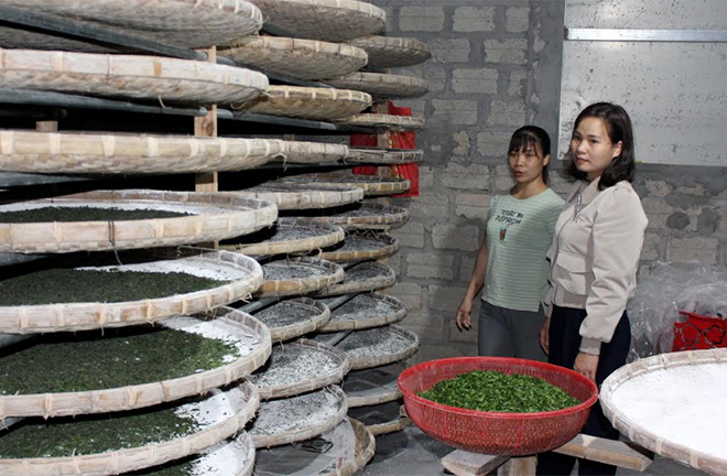 Lãnh đạo Hội Phụ nữ xã Quy Mông tham quan mô hình nuôi tằm giống của hội viên.