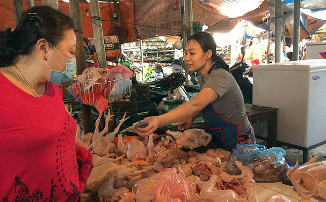 Quản lý, kiểm soát chặt chẽ khâu lưu thông, giết mổ gia cầm tại các chợ là một trong những biện pháp phòng, chống dịch hiệu quả.