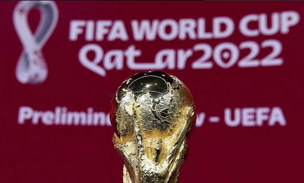 World Cup 2022 đã xác định được 19 đội tham dự.