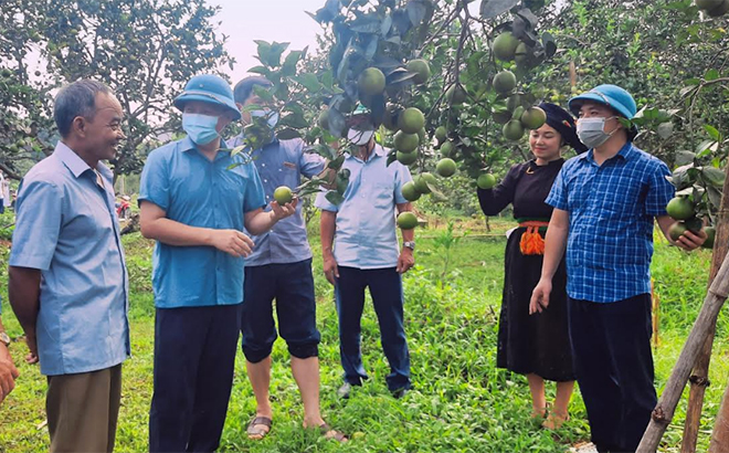 Bí thư Huyện ủy, Chủ tịch HĐND huyện Lục Yên Hoàng Hữu Độ (thứ 2 từ trái sang) thăm mô hình phát triển kinh tế tại xã Mường Lai.