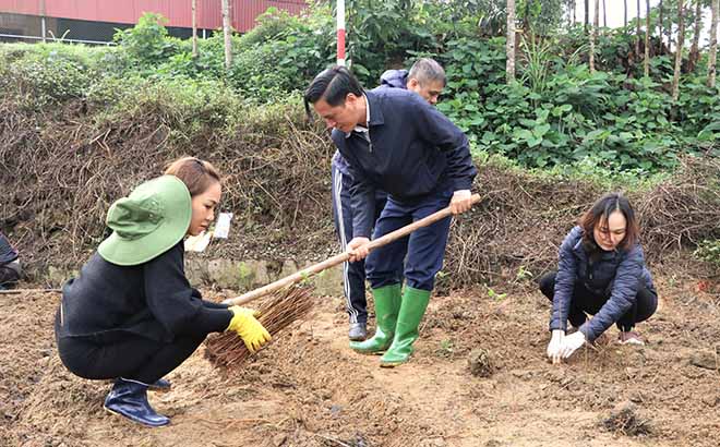 Người dân xã Hồng Ca tích cực trồng dâu vụ Xuân 2023