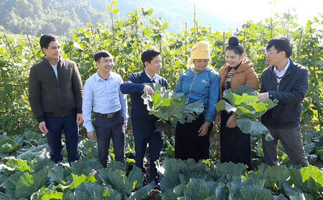 Lãnh đạo UBND huyện Trạm Tấu kiểm tra việc thực hiện chính sách đầu tư phát triển kinh tế vùng đồng bào dân tộc thiểu số tại xã Hát Lừu.