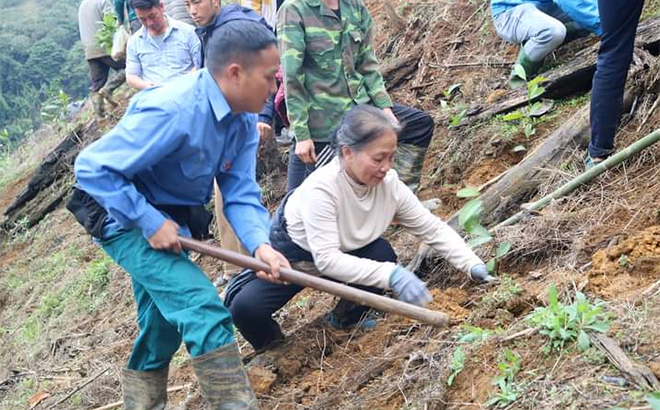 Bí thư Đoàn xã Sùng Đô Hờ A Bùa (người ngoài cùng, bên trái) tham gia cùng đoàn viên thanh niên trong xã giúp nhân dân thôn Giằng Pằng trồng quế.