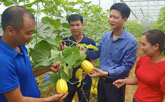 Đồng chí Phó Chủ tịch Thường trực UBND tỉnh Nguyễn Thế Phước thăm mô hình sản xuất trong nhà lưới tại xã Đào Thịnh, huyện Trấn Yên.