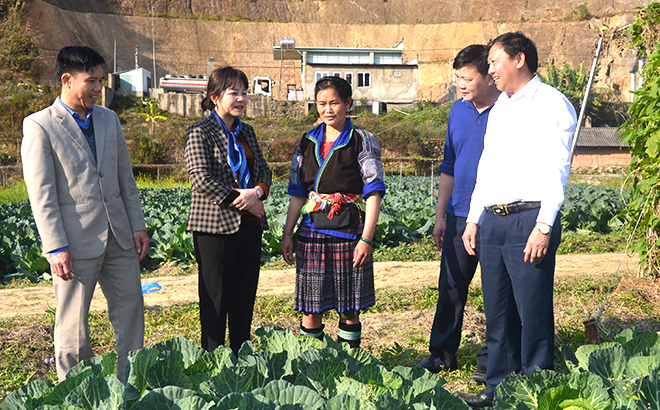 Phó Chủ tịch HĐND tỉnh Hoàng Thị Thanh Bình giám sát việc triển khai các chính sách hỗ trợ sản xuất nông - lâm nghiệp tại huyện Mù Cang Chải.