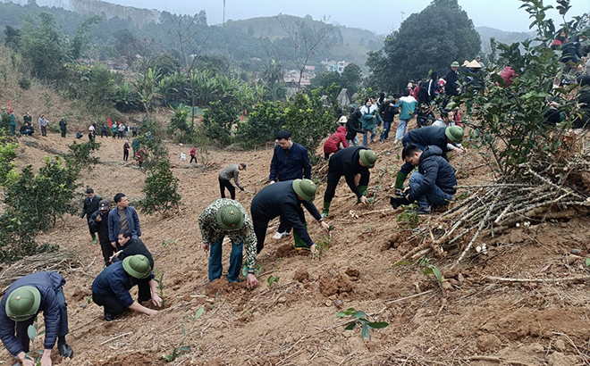 Nhân dân xã An Bình, huyện Văn Yên ra quân trồng rừng vụ xuân năm 2023.